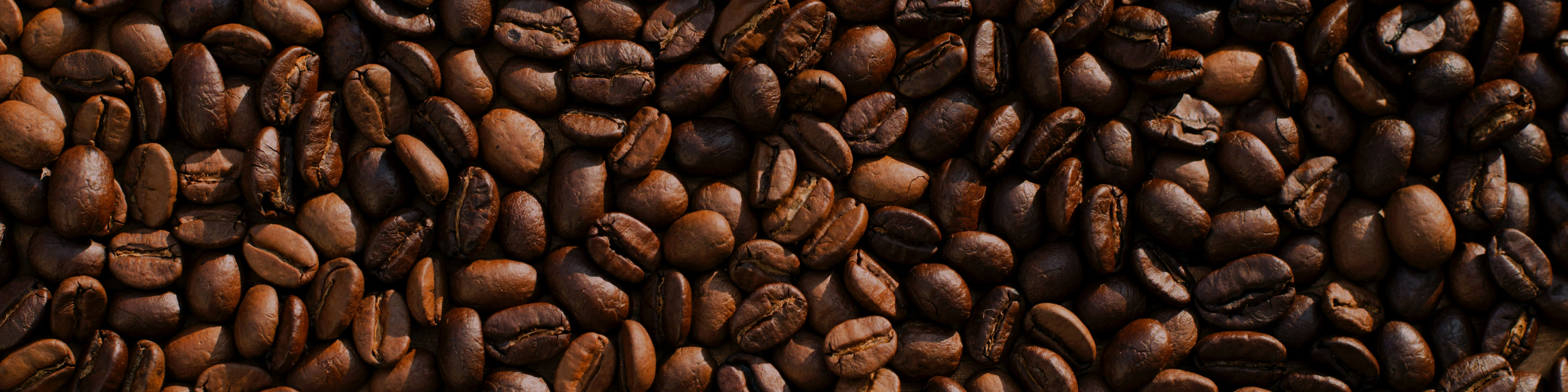 コーヒー豆の写真